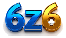 6z6